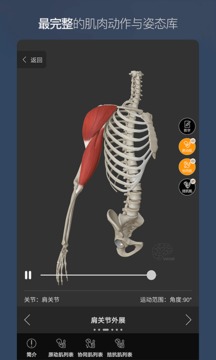 维萨里3D解剖截图