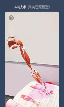 维萨里3D解剖截图