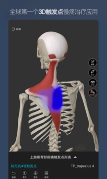 维萨里3D解剖截图