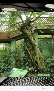 FindAR截圖
