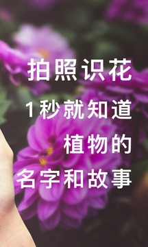 形色截圖