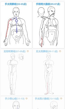 經(jīng)絡(luò)穴位3D截圖