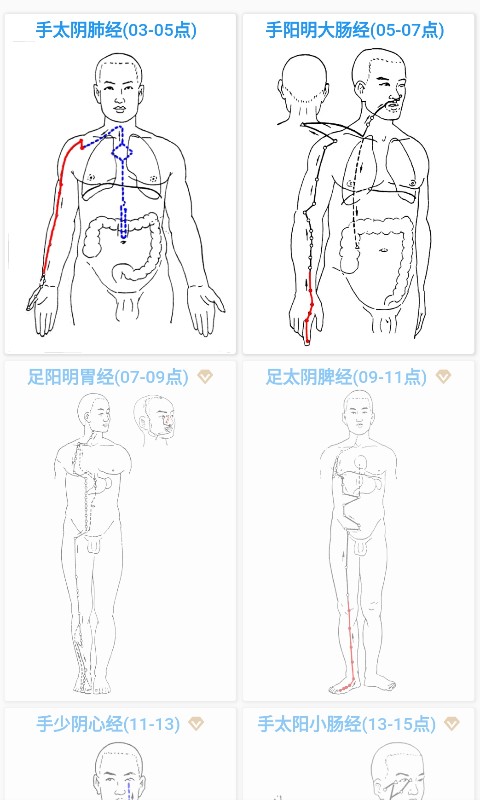 经络穴位3Dv2.1.3截图4