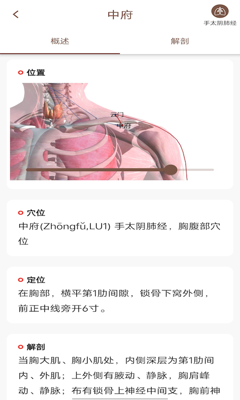 经络穴位3Dv2.1.3截图3