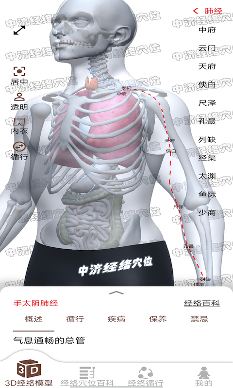 经络穴位3Dv2.1.3截图1