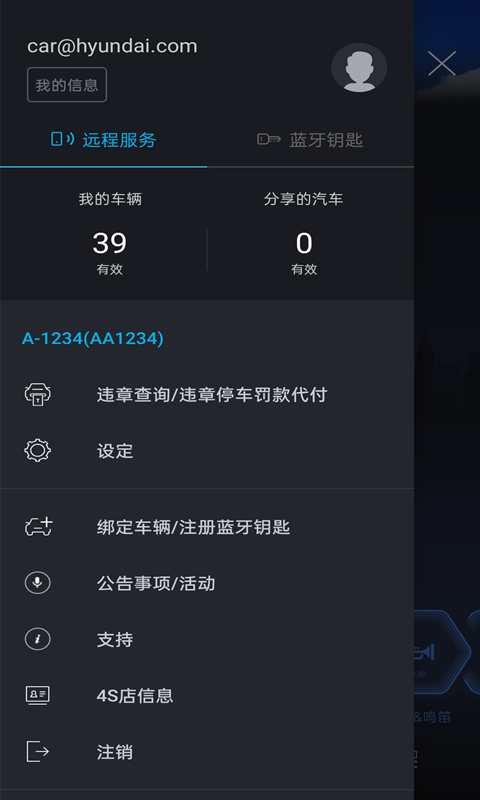 blueLinkv3.01截图2