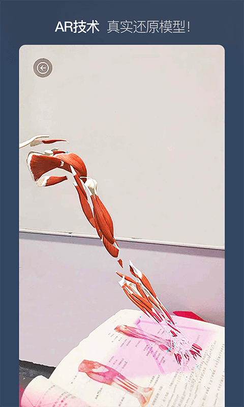 維薩里3D解剖截圖預覽