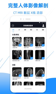 影像解剖圖譜截圖