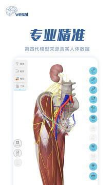 解剖大师截图