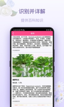 拍照識花神器截圖