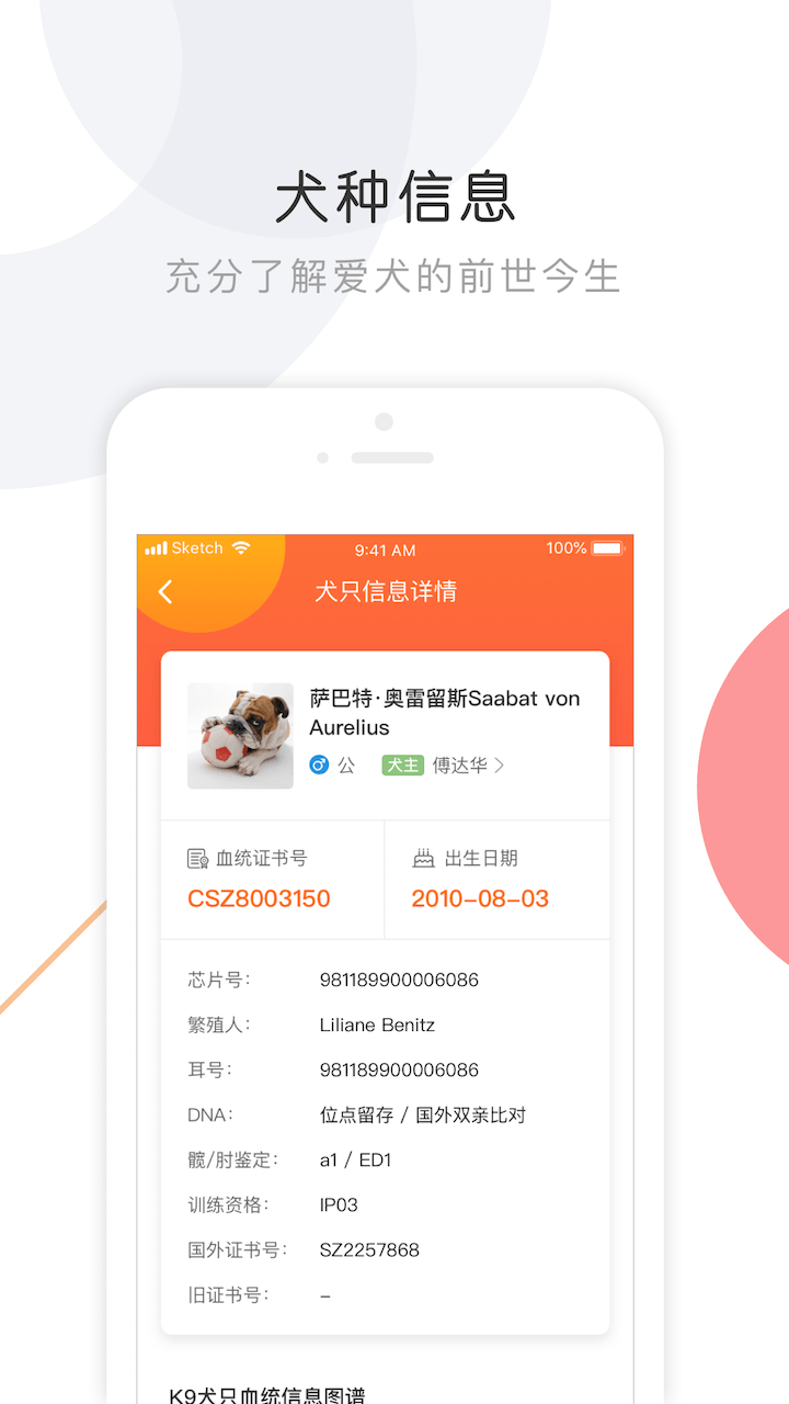 K9犬网截图4