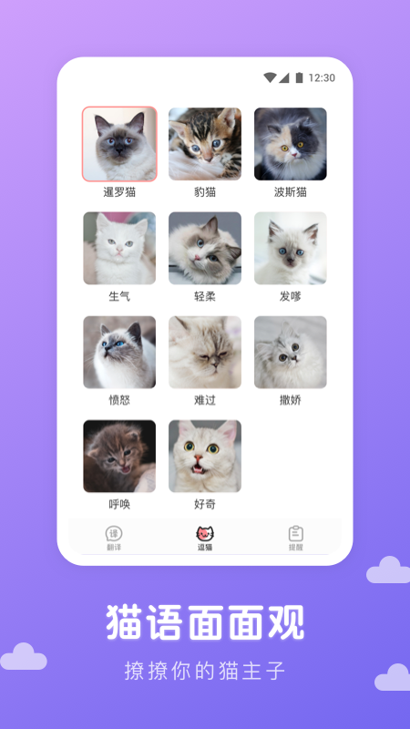 猫语翻译君截图2