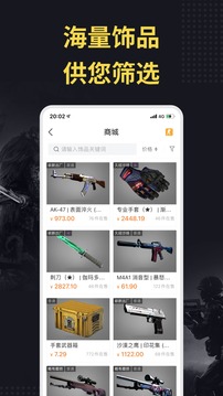 C5GAME截圖