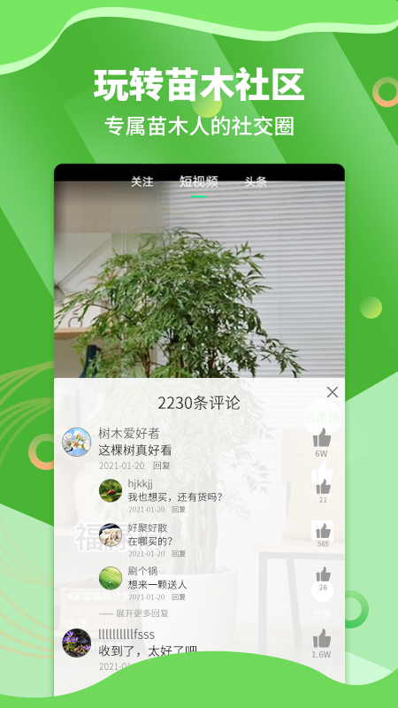 苗木通v5.7.0截图2