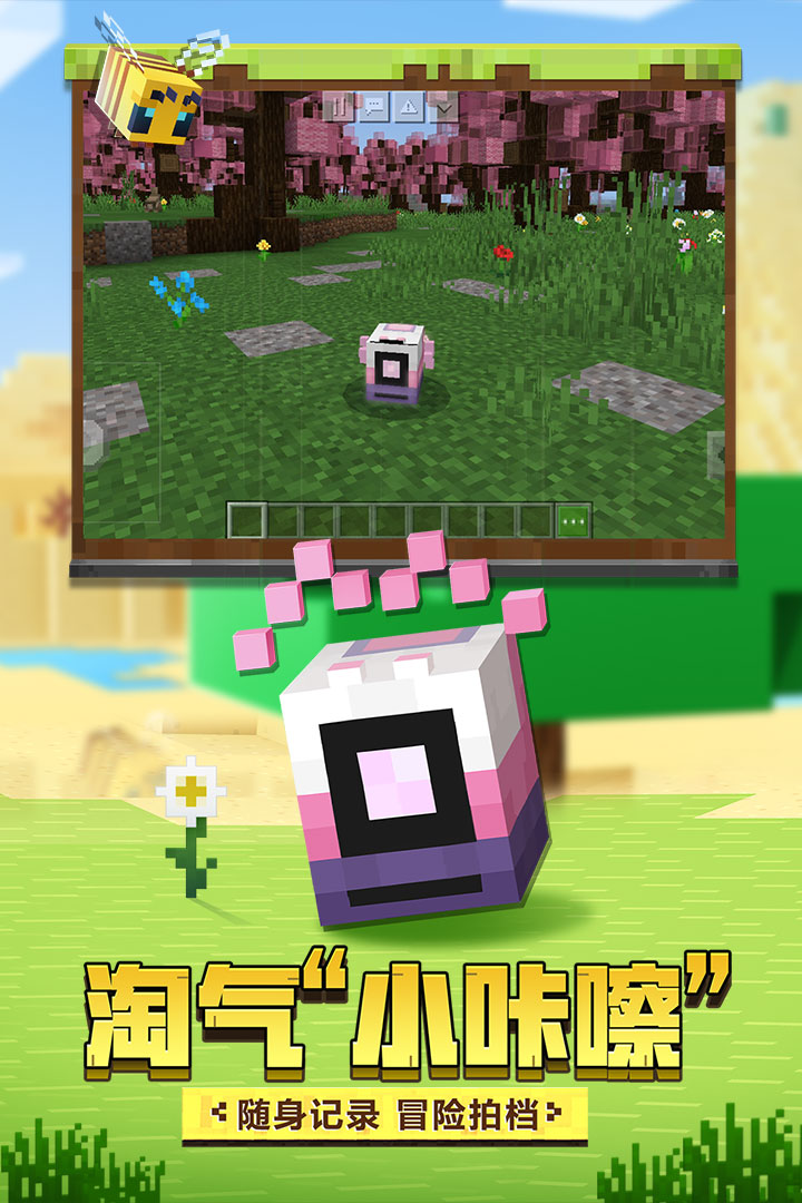 我的世界截圖預覽