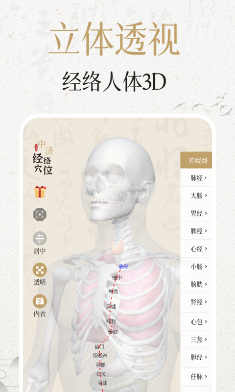 经络穴位3Dv2.3.0截图1