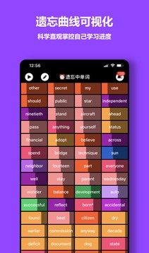 單詞塊截圖