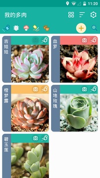 多肉成長(zhǎng)記截圖