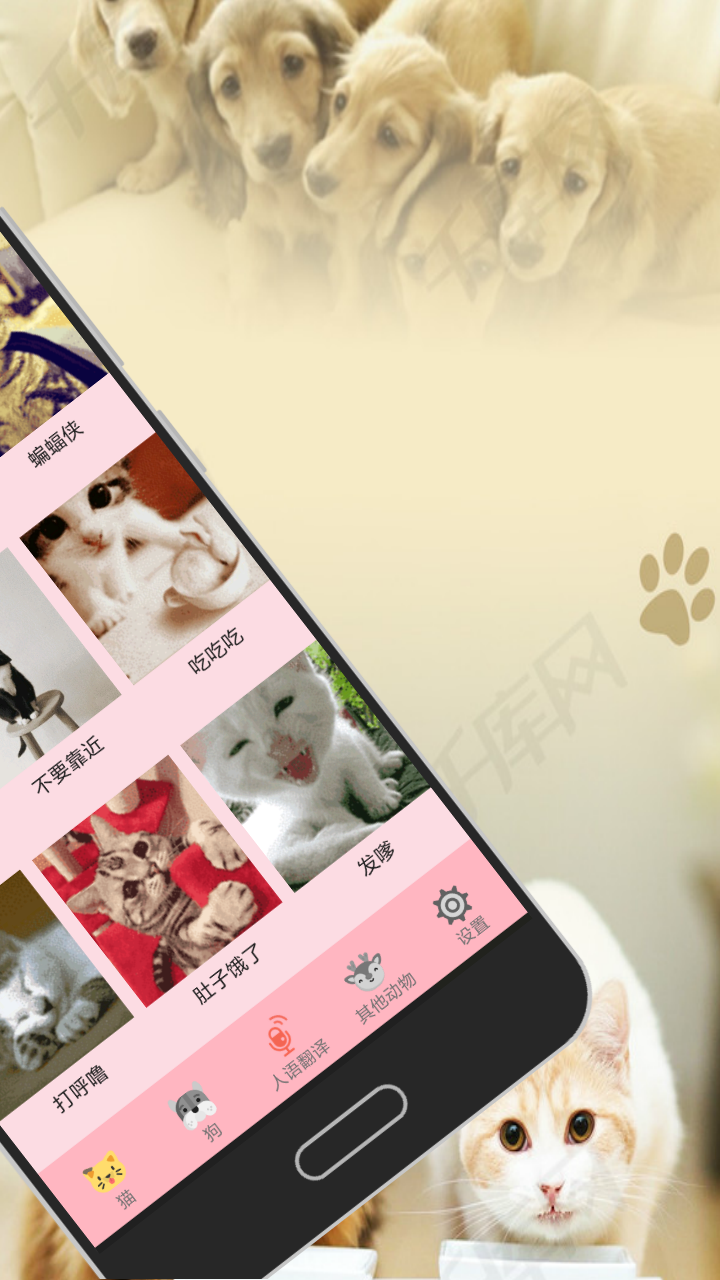 人猫狗交流器v3.5截图2