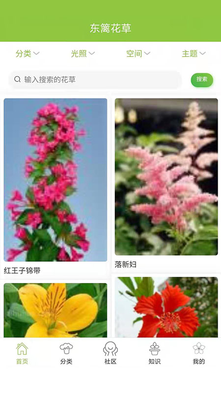 东篱花草v1.1.4截图5