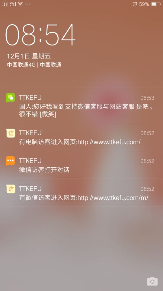 ttkefu网站在线客服系统v4.3.6截图1