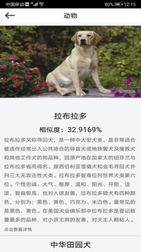 拍照識(shí)物截圖
