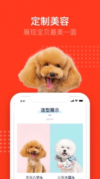 寵物家截圖