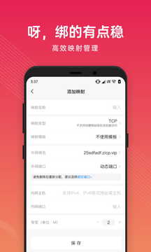 花生殼管理截圖