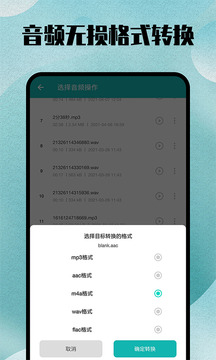 格式轉(zhuǎn)換大師截圖