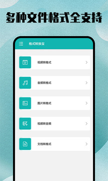 格式轉(zhuǎn)換大師截圖