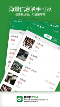 豬邦忙截圖