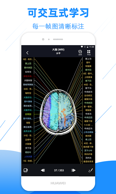 影像解剖图谱v2.4.0截图3