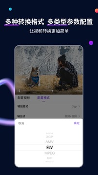 視頻格式轉(zhuǎn)換工具截圖