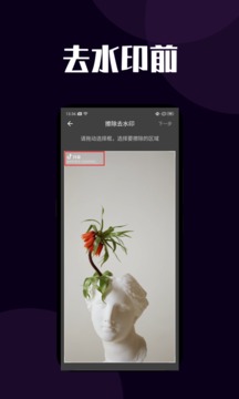 短视频去水印应用截图1