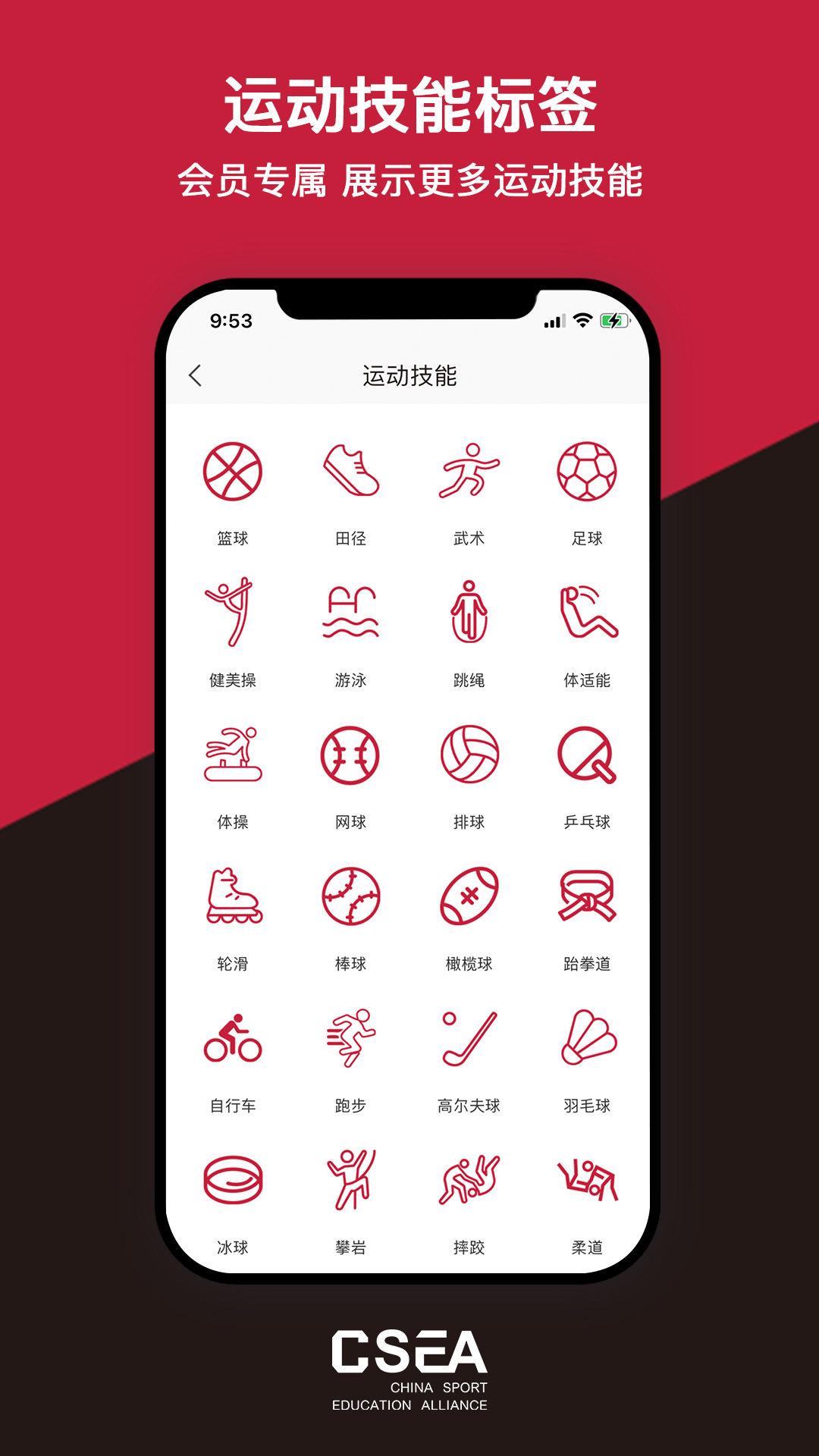 体教联盟v5.3.7截图1