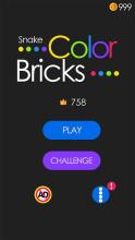 Snake Color Brick截图1