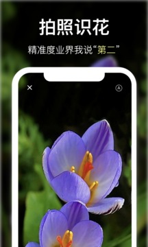 花将应用截图2