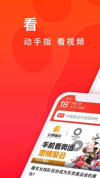 百度大字版截圖