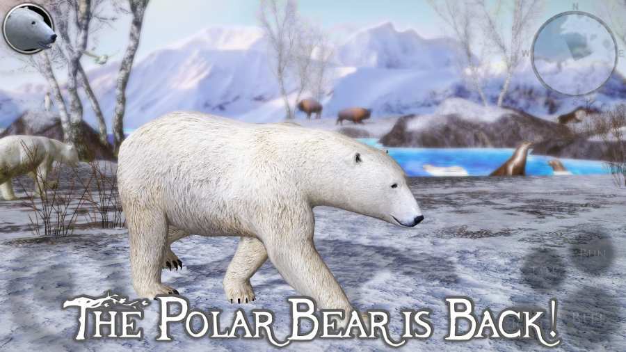 北极熊2截图1