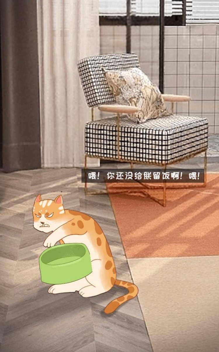 我与猫的故事截图2