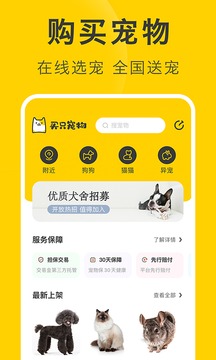 買(mǎi)只寵物-海量寵物狗貓?jiān)诰€選購(gòu)截圖