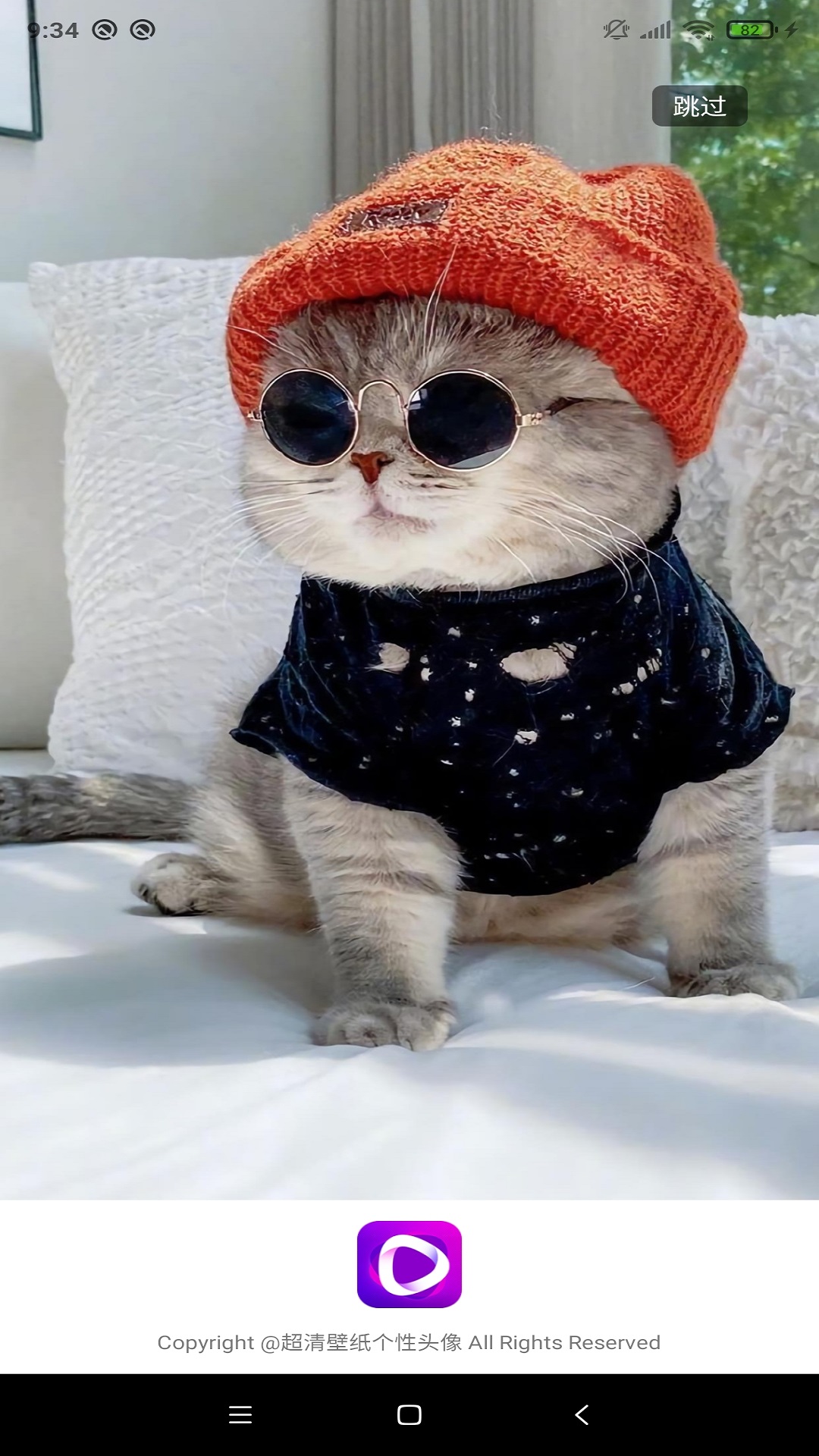 動態(tài)壁紙大全截圖預(yù)覽