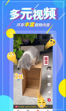 凱迪網(wǎng)截圖