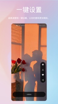 鹦鹉螺壁纸应用截图2