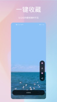 鹦鹉螺壁纸应用截图3
