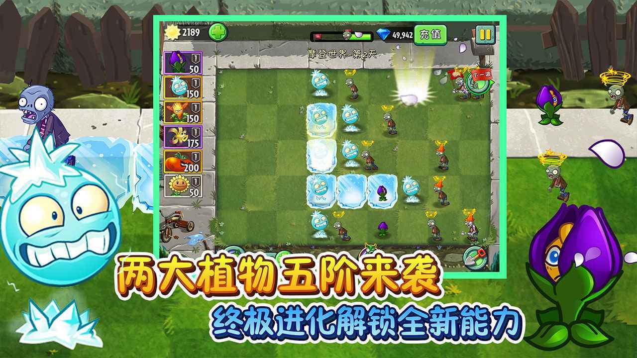 植物大战僵尸0阳光5阶截图2