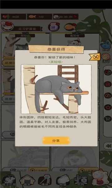 请问你需要猫吗截图3