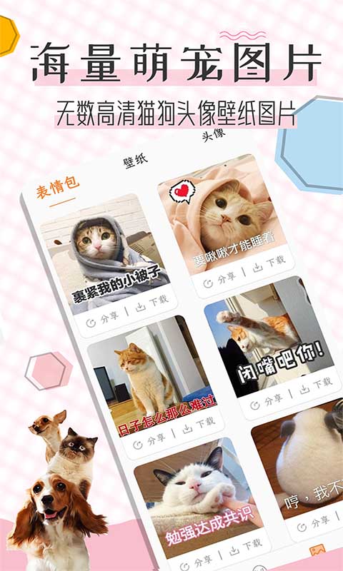 猫语翻译宝v1.1.6截图2