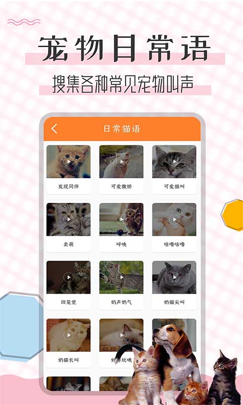 猫语翻译宝v1.1.6截图1