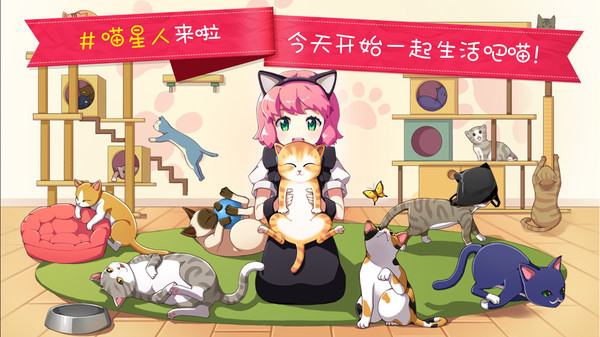 猫猫咖啡面包屋截图2